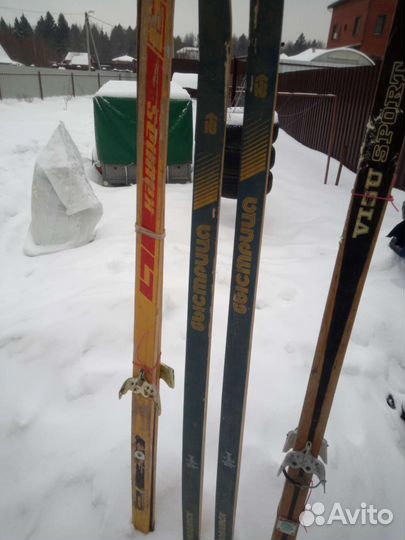 Беговые лыжи