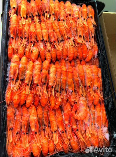 Оптом Креветки