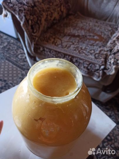 Мед Башкирский