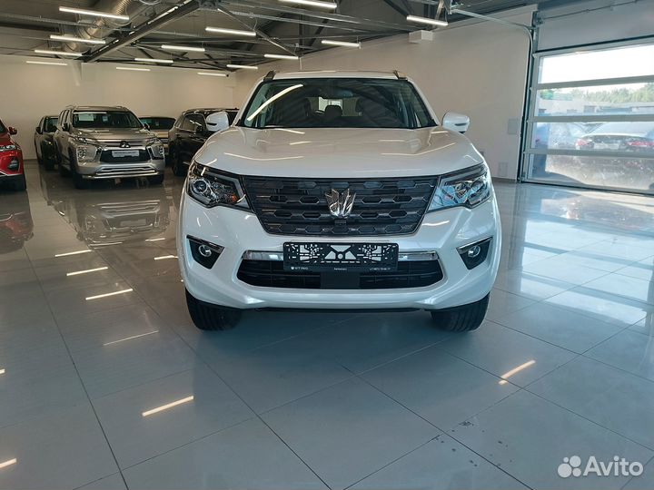 Oting Паладин 2.0 AT, 2024