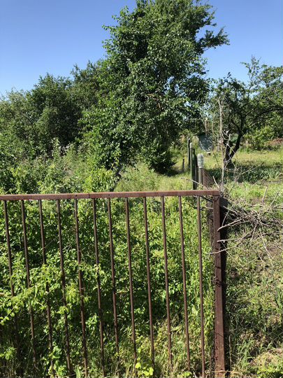 Участок 5 сот. (СНТ, ДНП)