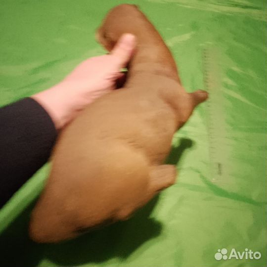 Статуэтка мангуст