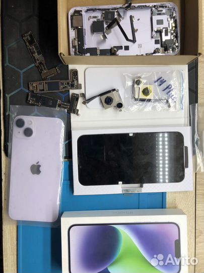 iPhone 14 Plus, 256 ГБ