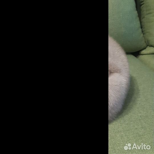 Норковая шапка мужская