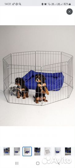 Вольер для собак домашний