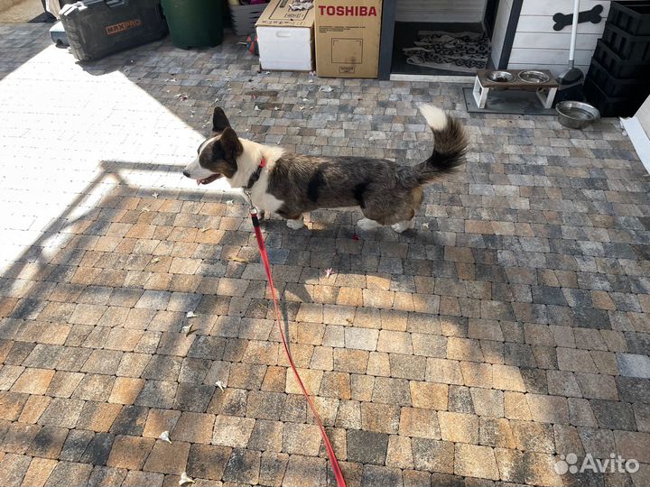 Тротуарная плитка антик 4см от производителя