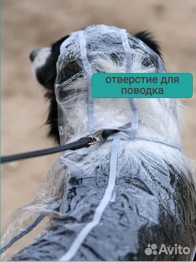 Дождевик для собаки новый