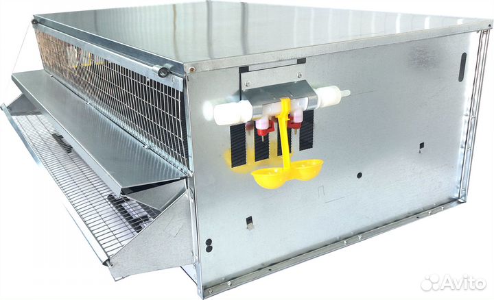 Клетка для перепелов несушек на 35 голов