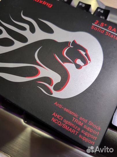 Ssd 256 gb