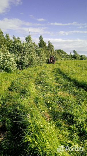 Сено в рулонах 2023