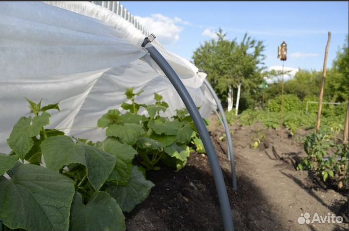 Новые парники