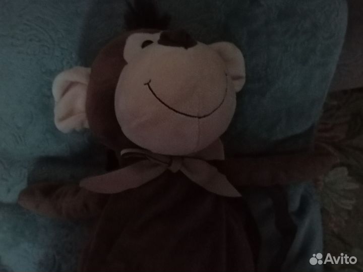 Домашнее животное