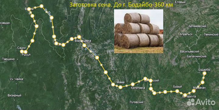 Продам Сено в рулонах