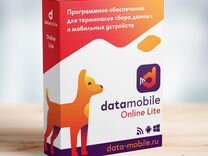 DataMobile, версия Online Lite