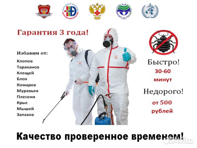 Уничтожение тараканов, клопов, грызунов, насекомых в Пятигорске ...