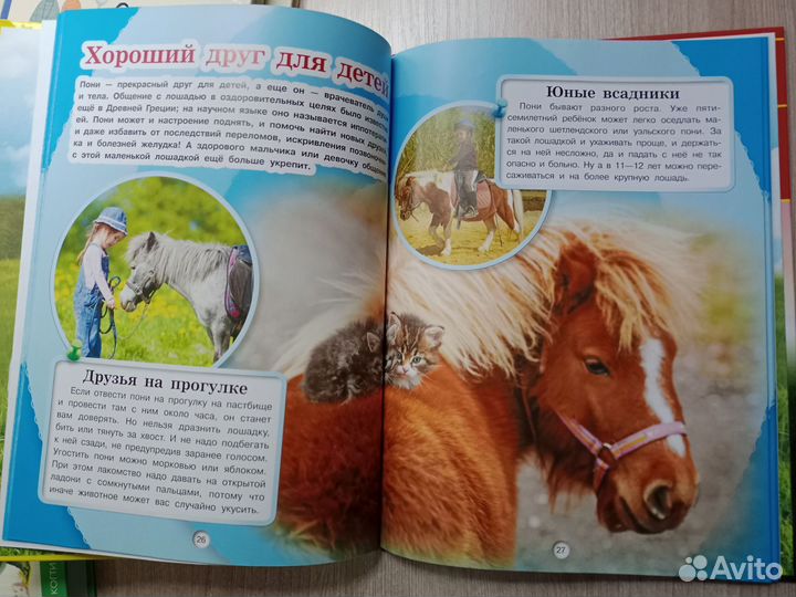 Детская энциклопедия про лошадей