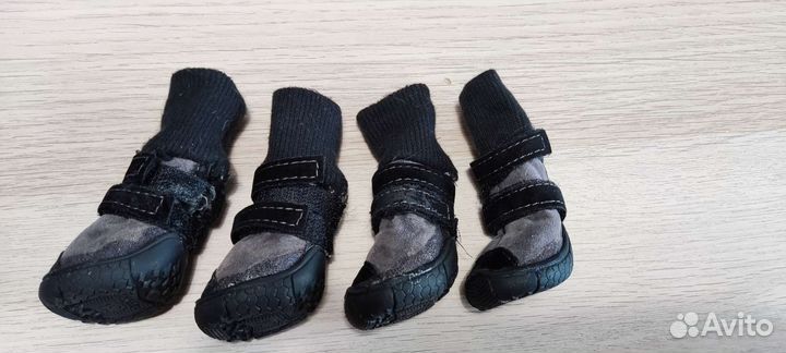 Обувь для собак