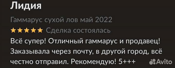 Гаммарус сухой лов май 2023