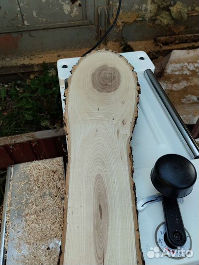 Спилы дерева