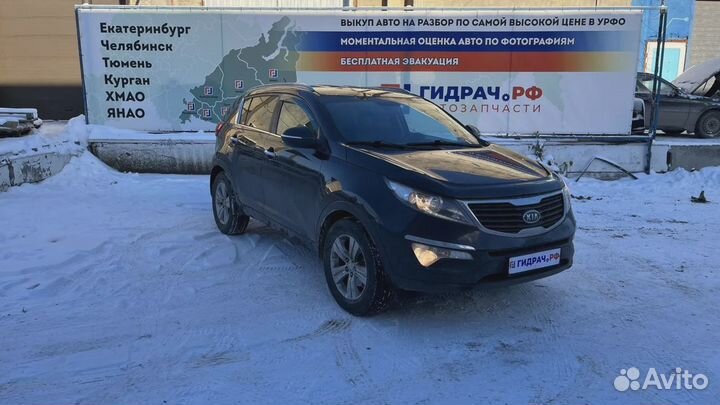 Уплотнитель стекла двери заднего правого Kia Sport