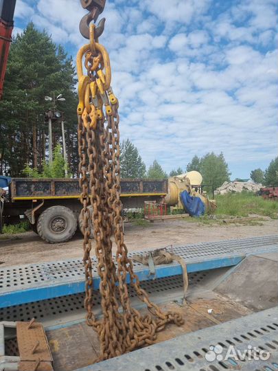 Паук цепной