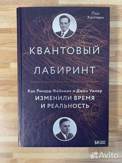 Квантовый лабиринт Халперн Пол