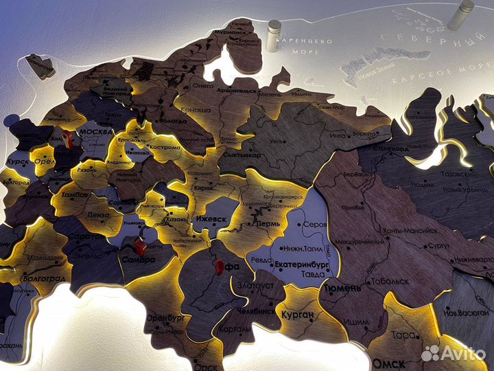 Настенная карта России