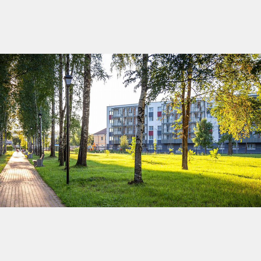 1-к. квартира, 49,2 м², 1/5 эт.