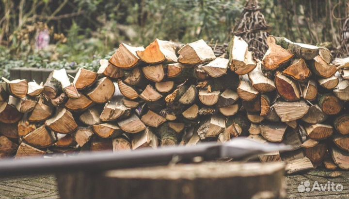 Дрова в баню