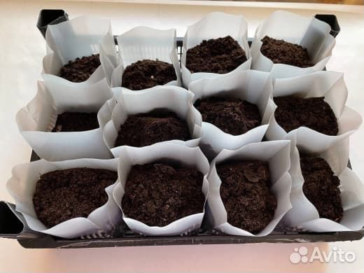 Пакеты для рассады 0,9 литра