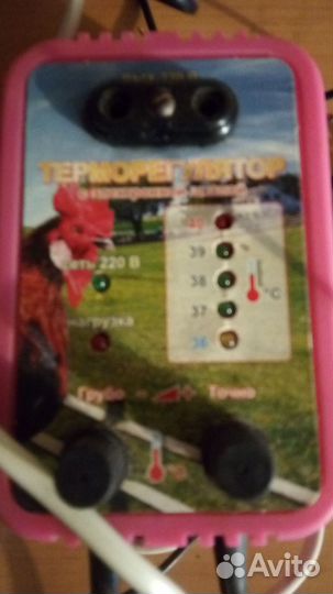 Терморегулятор для инкубатора