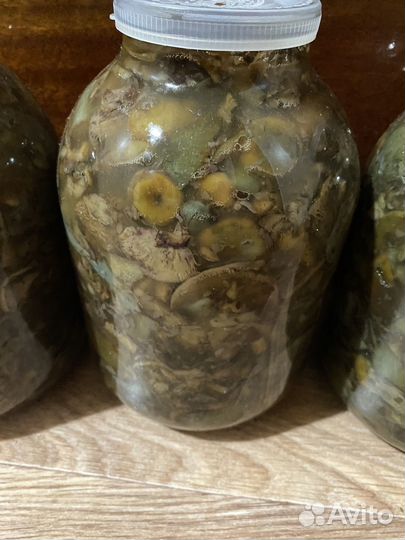 Рыжики соленые