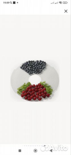 Сушилка(дегидратор) для овощей и фруктов Gorenie