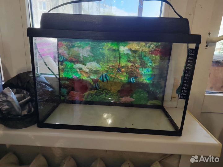 Аквариум