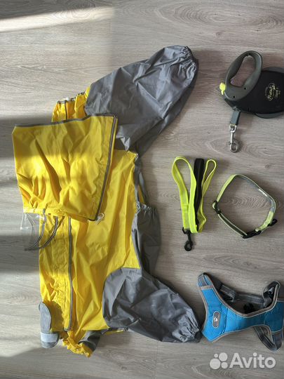 Амуниция для собак