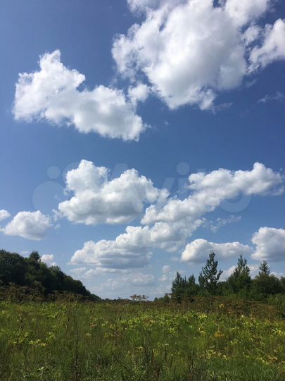 Участок 8 сот. (ИЖС)