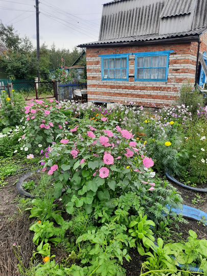 Дача 29 м² на участке 6 сот.