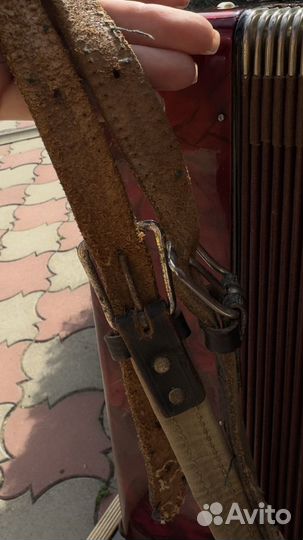 Аккордеон weltmeister