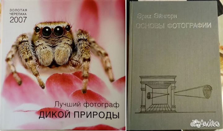 Журнал ZOO фото зоофото 2008 г