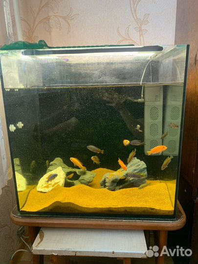 Аквариум
