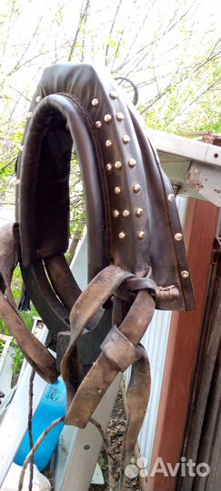 Сбруя для лошади
