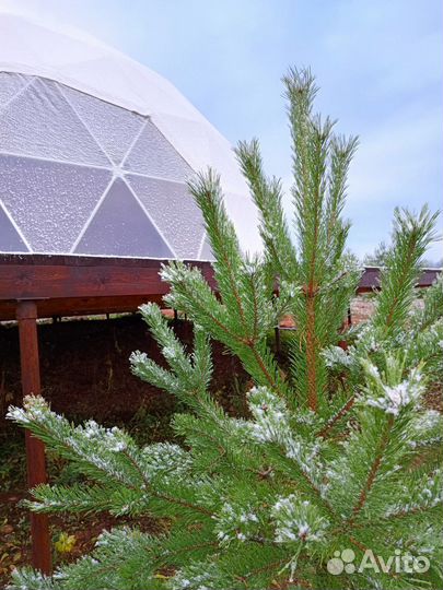 Ретрит на природе, йога, фитнес - тур, аромарелакс