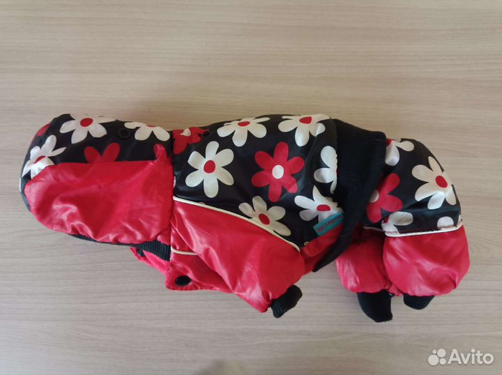 Одежда для маленькой собачки пакетом