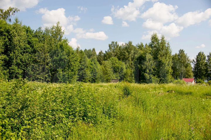 Участок 7,5 сот. (СНТ, ДНП)