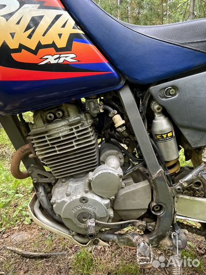 XR250 baja