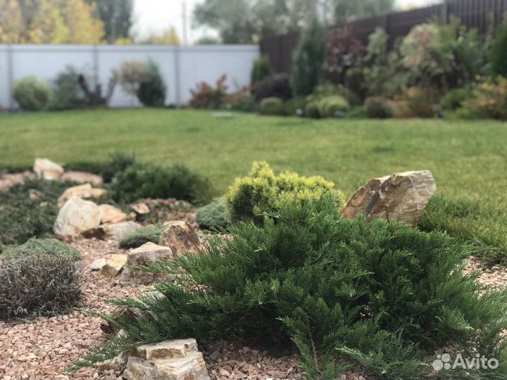 Ландшафтный дизайн и озеленение