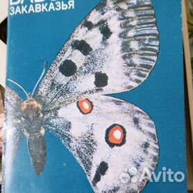 Открытка «Бабочки» – купить подарки с доставкой по Саратову | FlowerLab