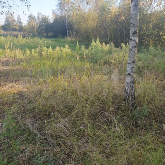Участок 30 сот. (ИЖС)