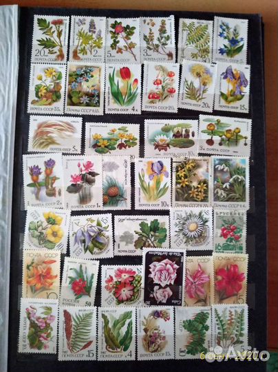 2 альбома марок