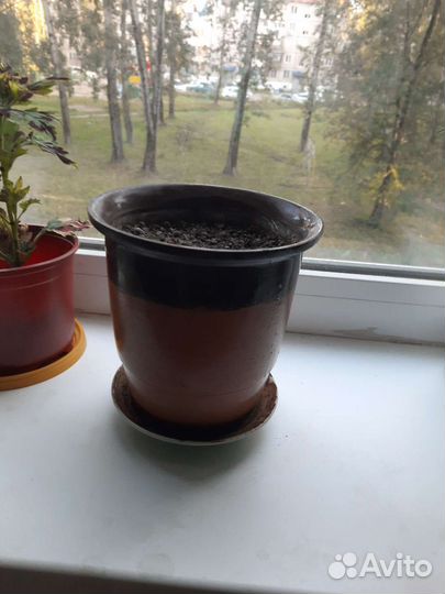 Горшок для цветов